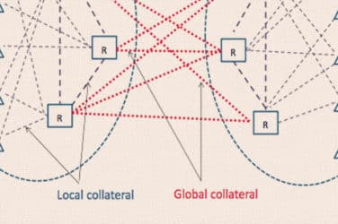New Collateral Transformers To Emerge